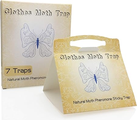 Carpet Moths How To Get Rid Of Them Uk