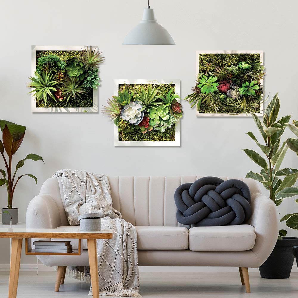 UVCD0045 Wall Stickers decals succulents flowers Wall decoration living room kitchen bedroom entrance.