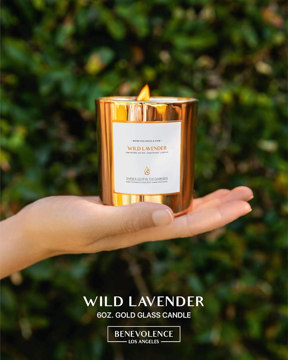 Wild Lavender Candles | Wood Wicked Candles | Highly Scented Candles for Home | 6 oz 35 Hour Burn, Spring Candles, Soy Candles, Lavender Candle Aromatherapy Candle Lavender in Rose Gold Glass Jar: Home & Kitchen