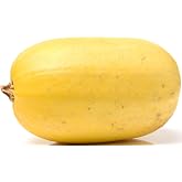 40+ Spaghetti Squash Seeds for Planting - Heirloom Non-GMO USA Grown Winter Squash Seeds by RDR Seeds