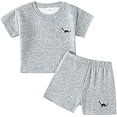 Rosibel Toddler Baby Boys Clothes Set Short Sleeve T-Shirt and Shorts Summer 2 PCS Outfit for 6M-3Y