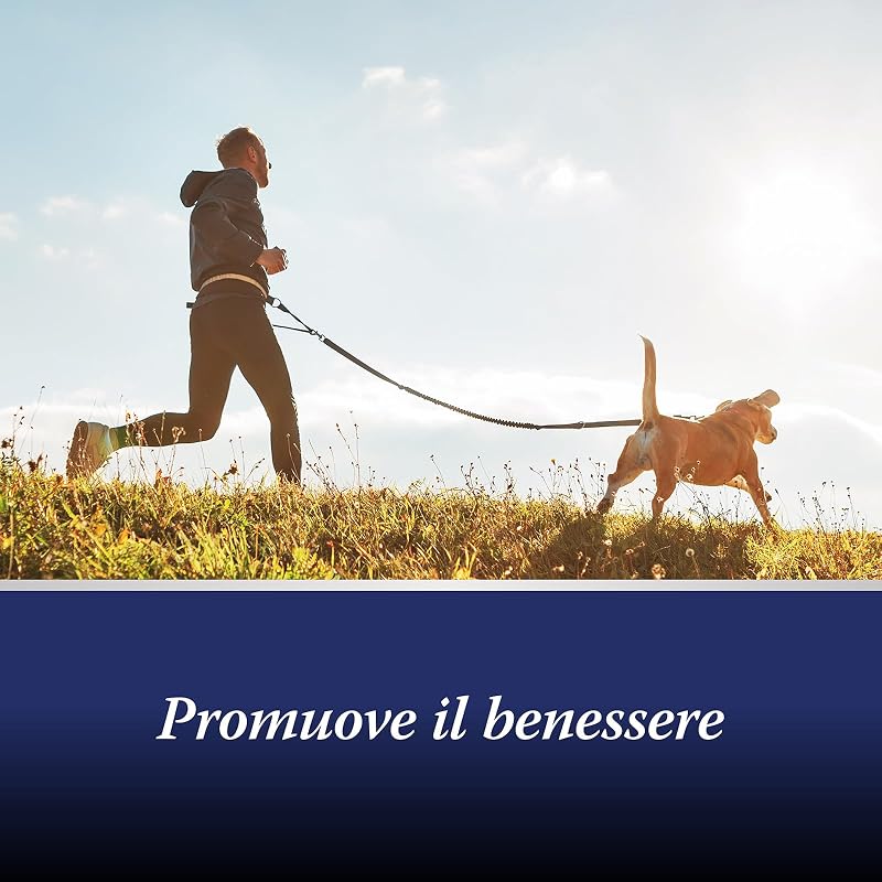 compresse per articolazioni cane - Joint Care Cani - Formula unica: con cozze dalle labbra verdi, glucosamina, Omega 3 - protezione delle articolazioni - condroprotettori cane - 20 compresse