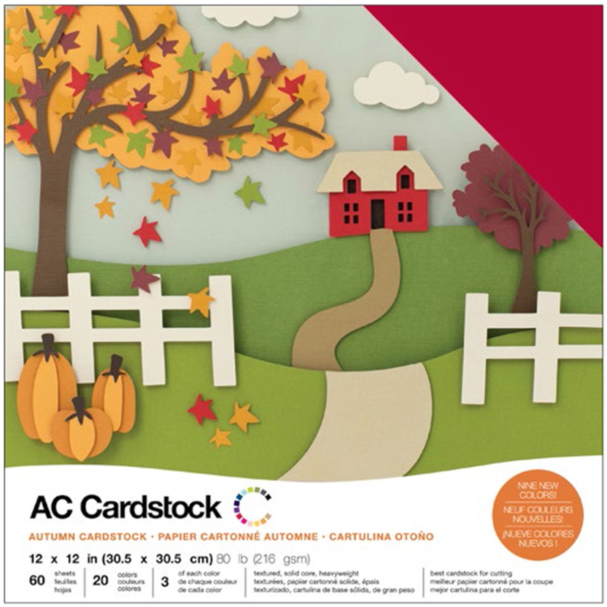 American Crafts 376987 Variety Cardstock, Multi-Colour, 12 x 12-Inch, Pack of 60