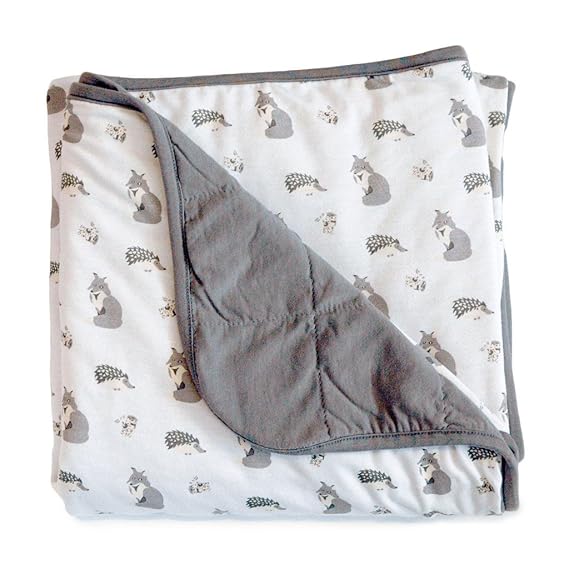 Kyte Baby Quilted Silky Bamboo Rayon Blanket (Baby 1.0 (36