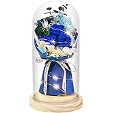 HVY Preserved Real Flowers Bouquet Gifts for Her,Forever Flowers Gift for Women,Preserved Blue Rose in Glass Dome with LED Light Ideal for Christmas,Birthday,Anniversary,Valentine's Day, Mother's Day