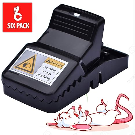 Bärenfleisch: Canned Bear Meat 240g