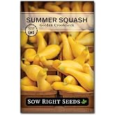 Sow Right Seeds - Golden Crookneck Summer Squash Seed for Planting Garden | Plant classic non-GMO heirloom variety for outdoor home vegetable gardening. Sweet yellow vining veggies for growing outside.