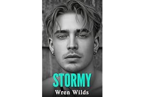 Stormy: An M/M Romance