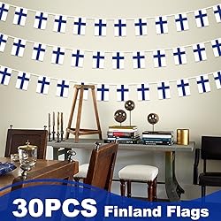 Finland String Flag Pennant Banner, Small Mini