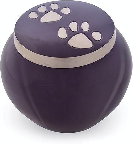 Urns for pets amazon Clearance