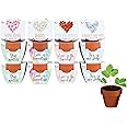BUZZY Seeds Terracotta Mini Grow Pots | Herb, Plant, Flower Starter Kit for Kids & Adults | Assorted 12-Pack, Love Collection | Guaranteed to Grow | Best Indoor Grow Your Own Plant Gardening Gift