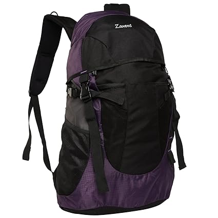 Zwart 32 Ltrs Purple School Backpack (CLINROV-P)