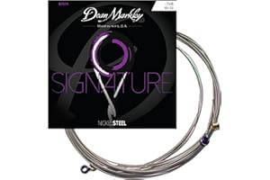 Dean Markley Electric Guitar Strings Nickel Steel Signature 6 String Set. Nickel Wound Guitar Strings Light Top/Heavy Bottom, Soft Electric Guitar Strings for a Superior Tone and Sustainability, 10-52, 2504 Light Top/Heavy Bottom Gauge