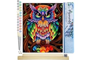 Figured'Art Paint by Numbers Kit for Adults Colourful Owl 16"x20" - Craft Art Painting Rolled Canvas with DIY Wooden Frame