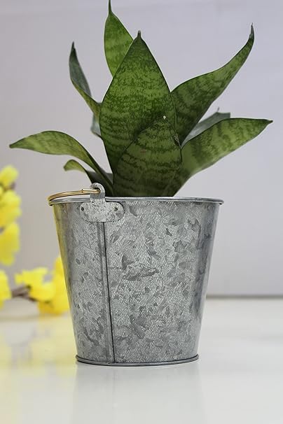 Hosley 4Inch Pack of 6 Galvanized Metal Hanging Planter / Bucket Metal Planters Pot for Indoor Plants /Out Door Plants Ideal Gift for Weddings