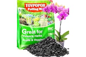 TOYPOPOR Horticultural Charcoal for Indoor Plants (3 Quarts) Hardwood Potting Soil Amendment Helps Improve Drainage for Orchi
