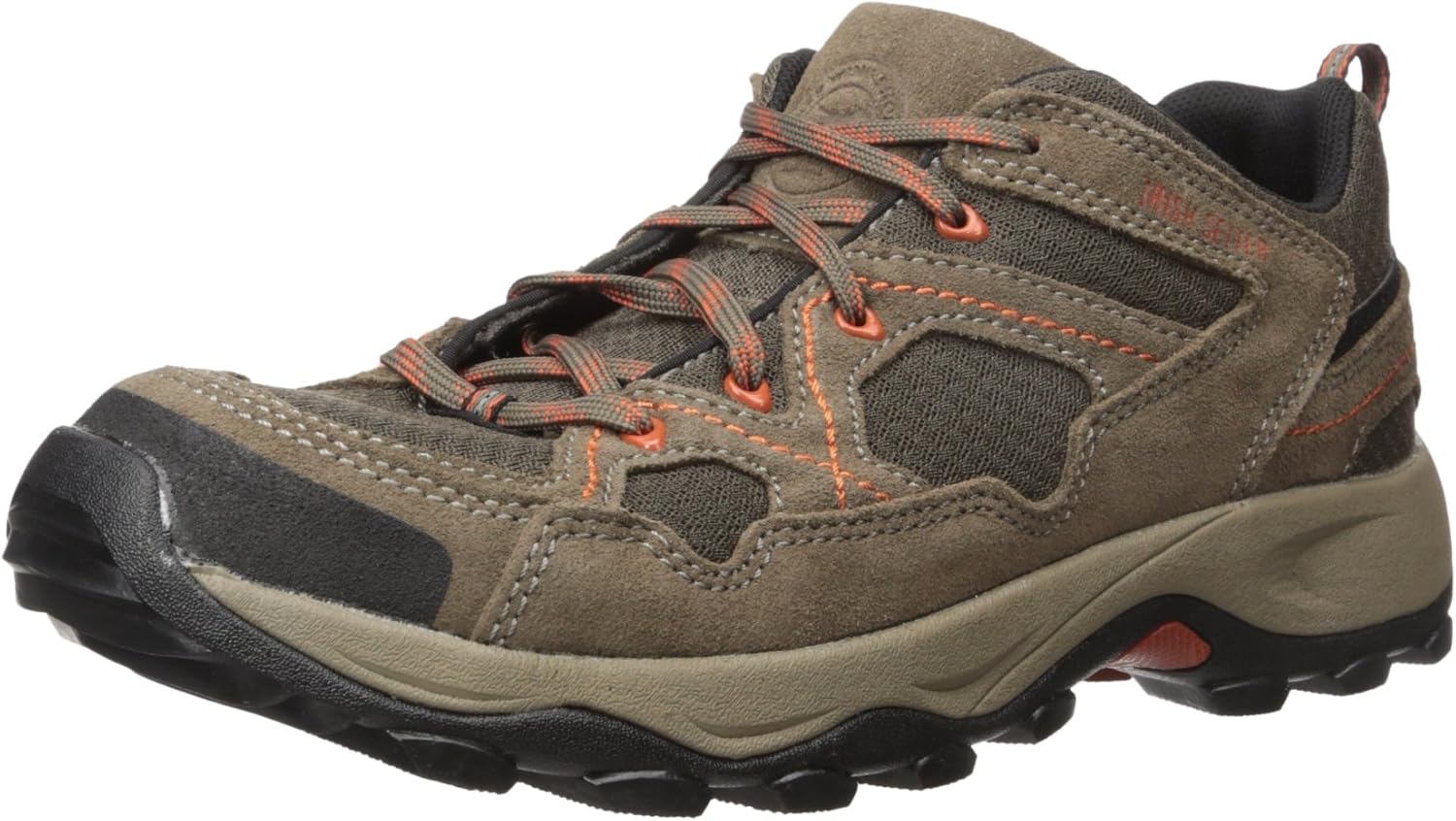 irish setter borderland oxford