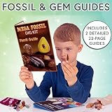 Science Kidz Ultimate Rock Collection Kit Over 150 Gemstones Fossils view 2