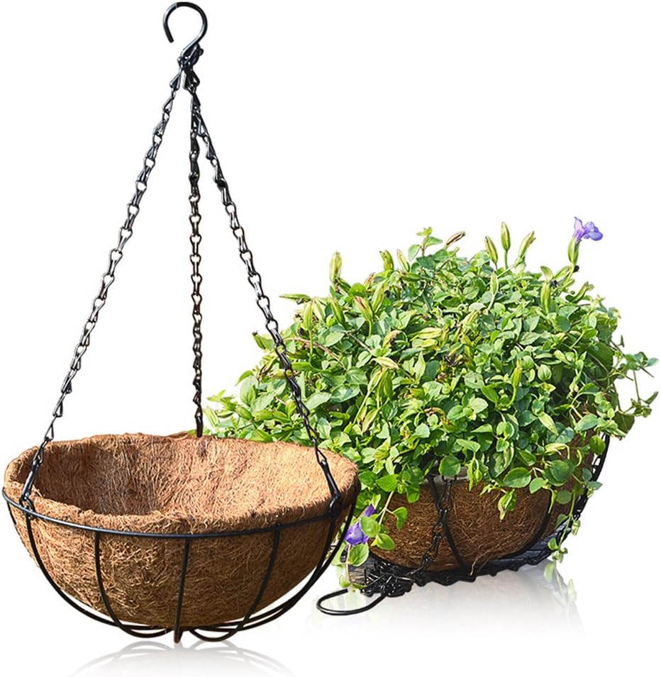 Orgrimmar 2 Pack Metal Hanging Planter Basket With Coco Coir Liner, 8" Round Wire Plant Holder with 18" Hanging Chain for Hanging Plant and Flower: Home Improvement