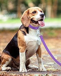 Taglory Dog Leash for Small Dogs, Double-Sided