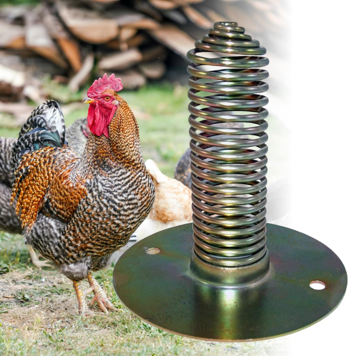 Doblit Spiral Feeder Heavy Duty Gravity Feeder Spring Attachment Mountable to Drum Feeder Chickens Hens Wild Fowl Pheasants (Set of 2)
