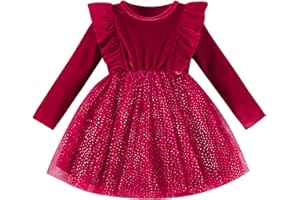 DREAM BUS Toddler Girl Christmas Dress Baby Girl Long Sleeve Ruffled Velvet Top Tulle Dress Special Occasion Dress