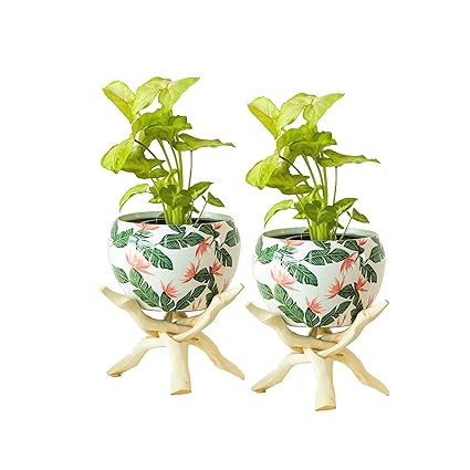 MR.HOMEZ - Tropical Paradise Metal Planter With Hand Carved Wooden Stand - Designer Indoor Plant Pot with Stand - Decorative Pot for Indoor Plants Rust Free Metal Planter (Tropical Paradise) (Pack Of 2)