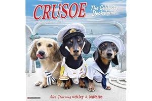 Willow Creek Press Crusoe the Celebrity Dachshund Monthly 2024 Wall Calendar (12" x 12")