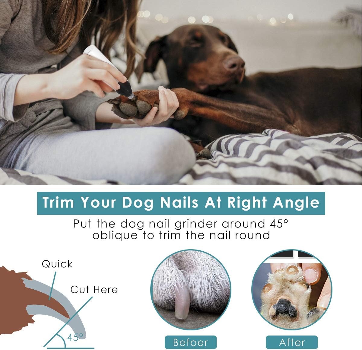 FlyBanboo Pet Nail Grinder, Fast&Quiet USB Rechargeable Eelectric Pet Nail Trimmer Painless Paws Paws Grooming, Trimming, Shaping, and Smoothing for Dogs & Cats, Pet Nail kit : Pet Supplies