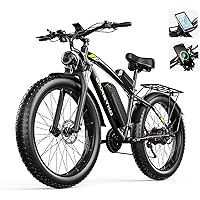 Jason Ebike 29