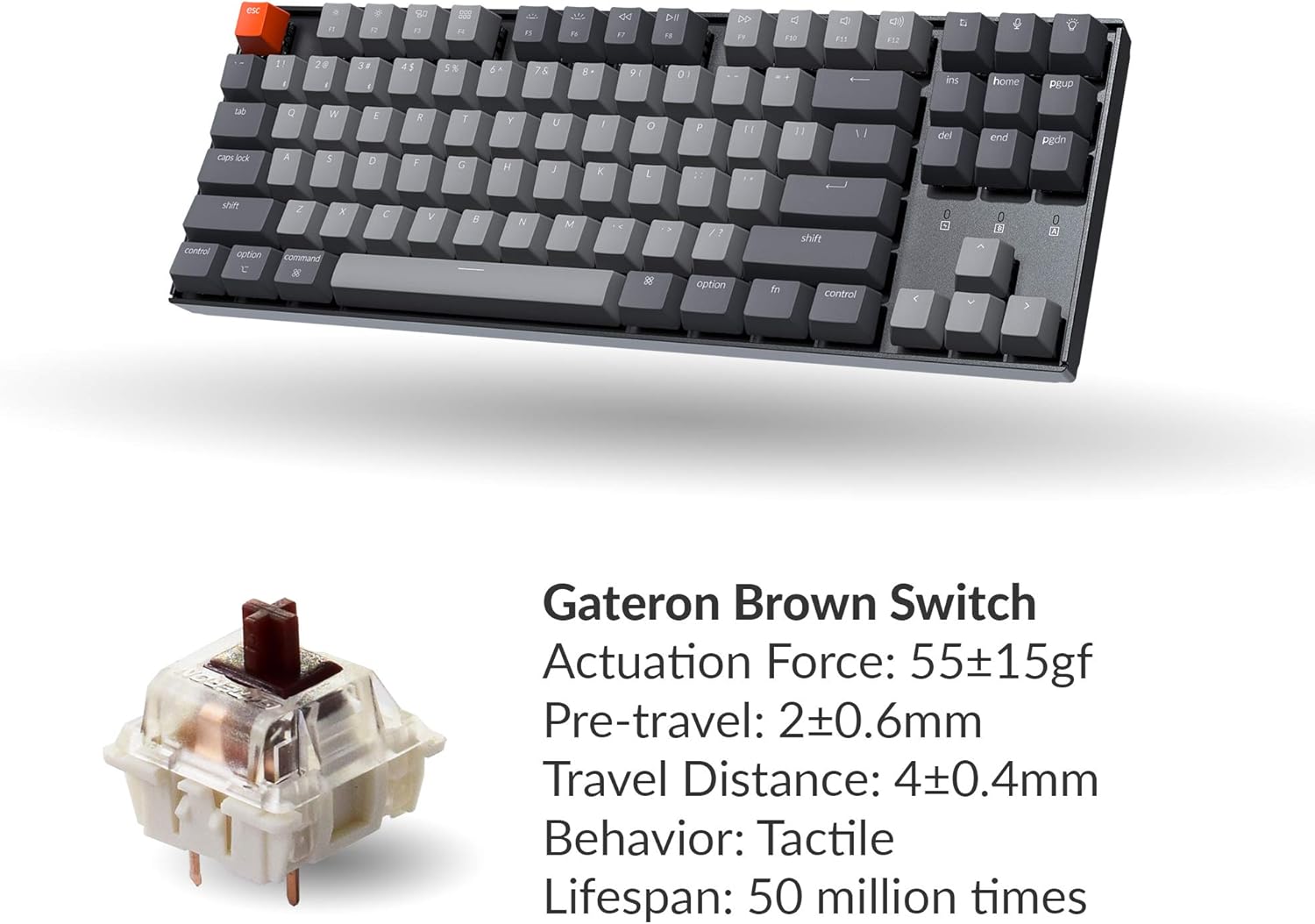 Keychron K8 Tenkeyless Wireless Mechanical Keyboard for Mac, White Backlight, Bluetooth, Multitasking, Type-C Wired Gaming Keyboard for Windows with Gateron Brown Switch: Computers & Accessories