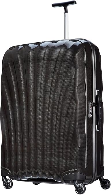 samsonite black label backpack