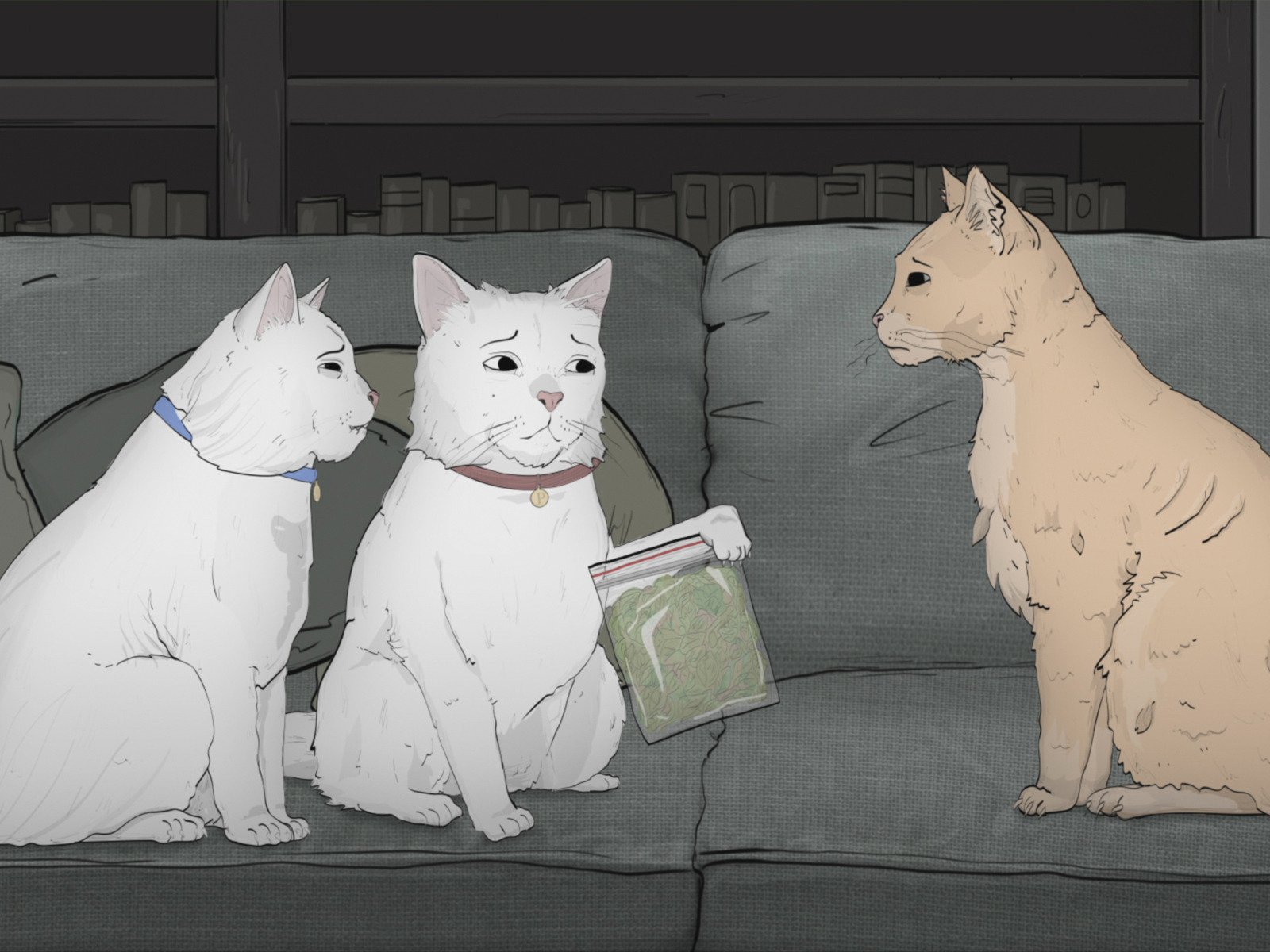 Watch Animals - Season 1 | Prime Video