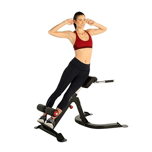 Fitness Reality Gym Commercial Grade Ab/Back/Hyper Extension