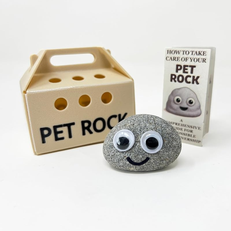 Party People Pet Rock Novelty Gift Ideal For Birthdays Weddings Favourites