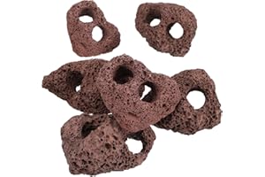 Housoutil Lava Rock Aquarium, 6PCS Aquarium Volcanic Stone Plant Fixer Ornaments, Double-Hole Fish Tank Rocks Ornament for Aquascaping, Fish Tank, Terrarium and Landscape Design
