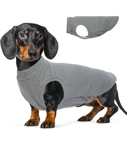 Sudadera Con Capucha Para Perros Salchicha (Dachshund) - 100% Algodón, Talla D-L, Gris - Abrigo De Invierno Y Otoño
