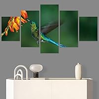 SIGNWIN 5 Panel Canvas Wall Art Modern Art Birds Bohemian Expressive Multicolor Photography Single for Home Decorations Ready to Hang - 60