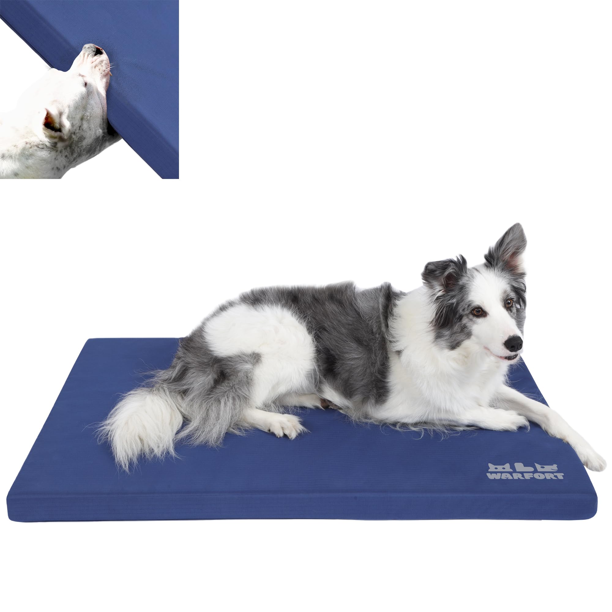 durable outdoor dog bed chew proof stable crate mat indoor cat bed anti mild bite kennel pad with removable fully waterproof cover (blue, medium(30x19x1.5in)) blue medium(30x19x1.5in)