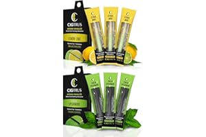 Cigtrus Smokeless Air Inhaler - Smoking Alternative | Tobacco-Free, Nicotine-Free, & Non-Electric | Oral Fixation Relief - Quit Smoking Aid & Stop Vaping Aid | Citrus Mint & Fresh Spearmint- 6 Pieces