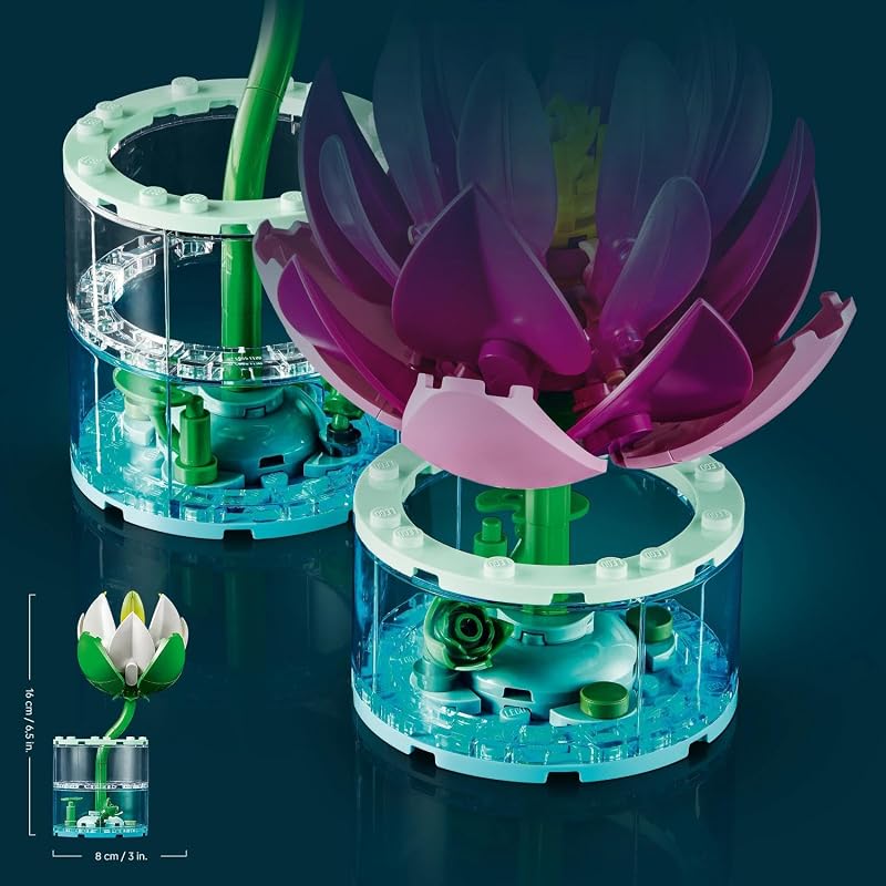 Botanicals Seerosen 11511
