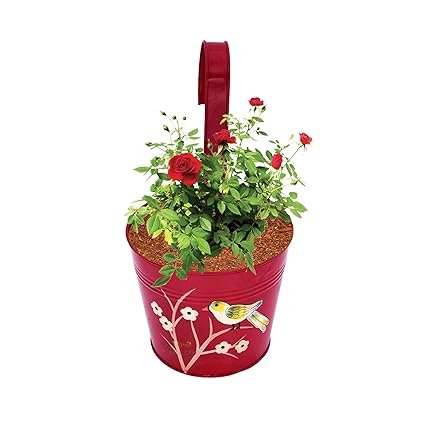 Pepper Agro 7 inch Round Metal Hanging Planter | Red Color Flower Design Ralling Planter