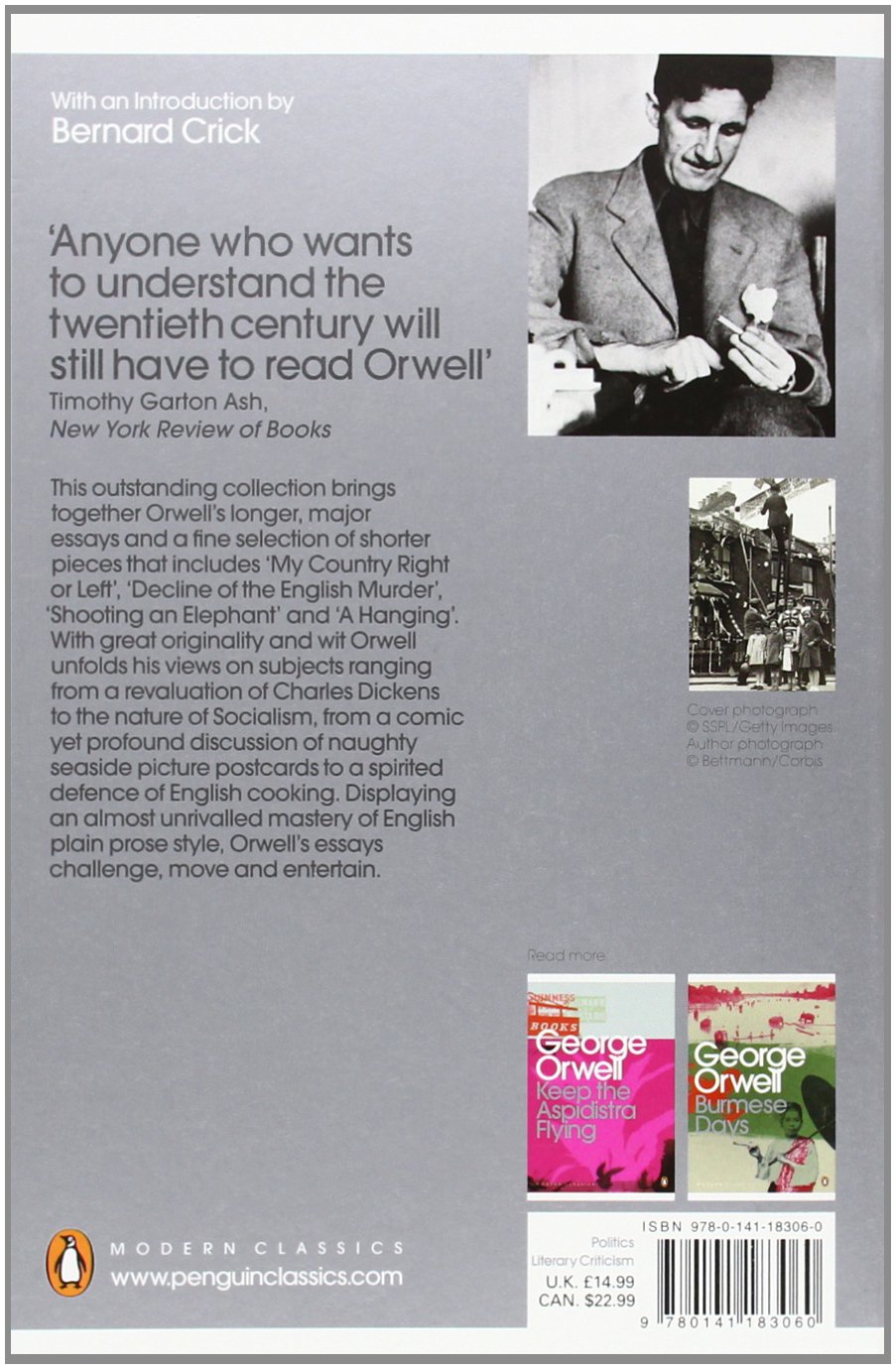 Are penguins birds picture