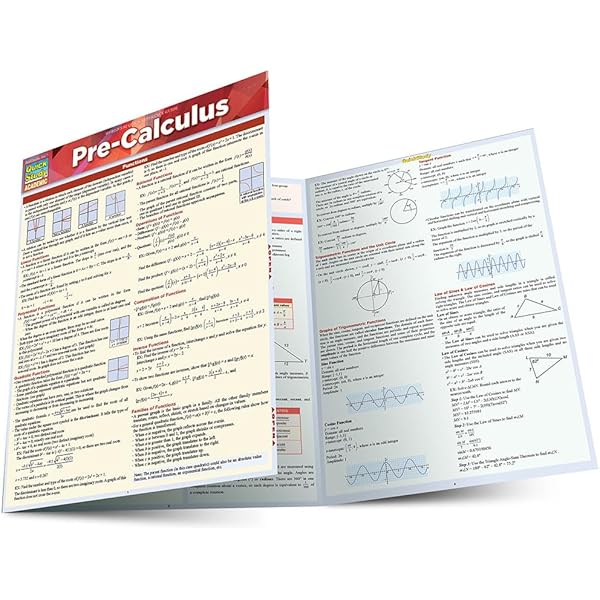 Precalculus: Mathematics for Calculus | Amazon.com.br