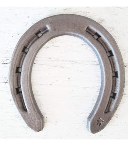 Amazon.com: Siddhratan Authentic Used Horseshoe - Good Luck Charm