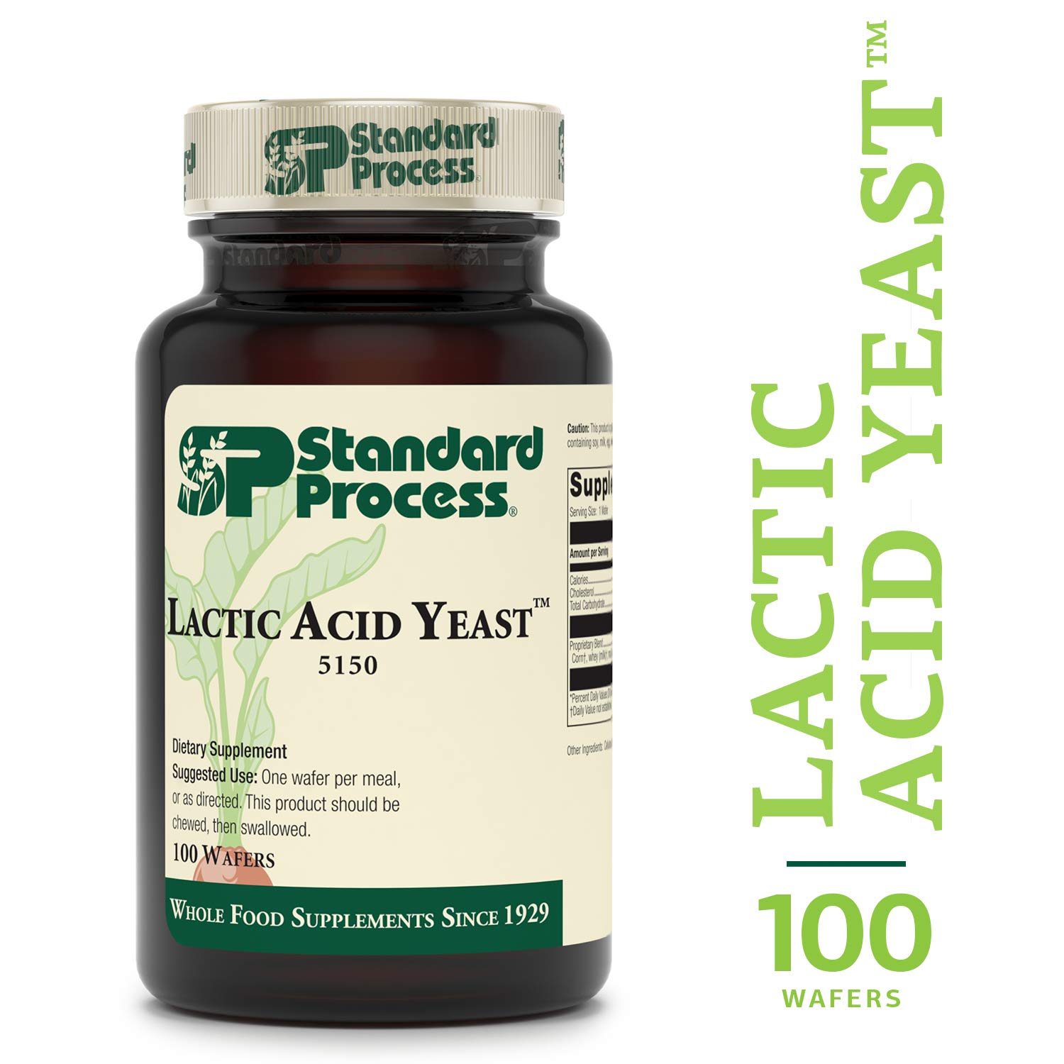 Best xendurance lactic acid buffer