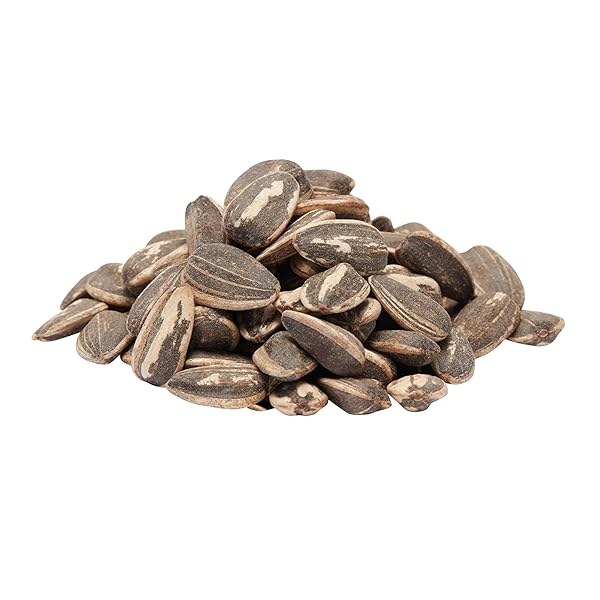 SPITZ SUNFLOWER SEEDS PACK, SEASONED, 16 OZ SNACK BAG