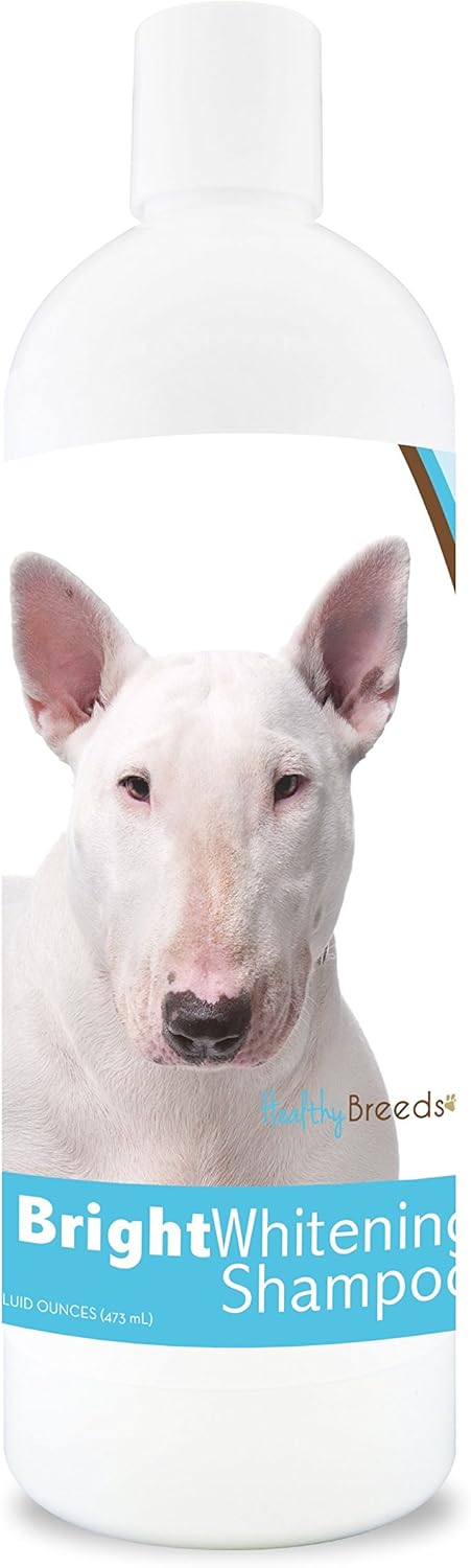 delicious bull terriers