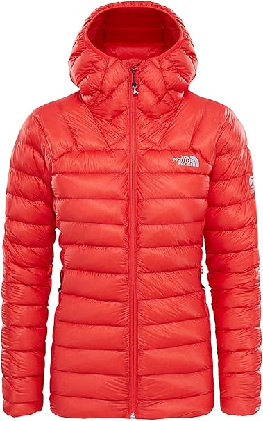 the north face gore tex pro shell