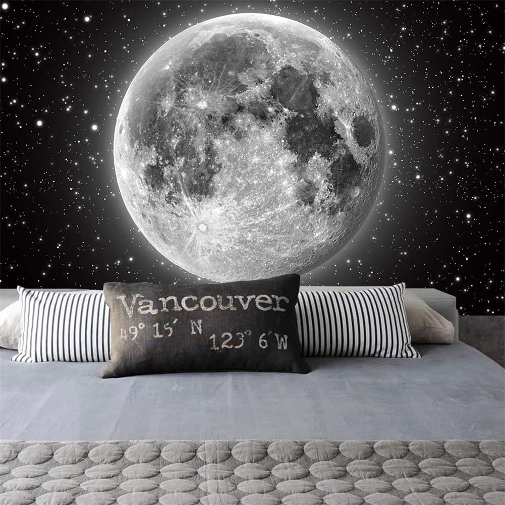 Hacaso Full Moon Rising Over The Ocean Empty at Night with Copy Space - Removable Wall Mural | Self-Adhesive Large Wallpaper